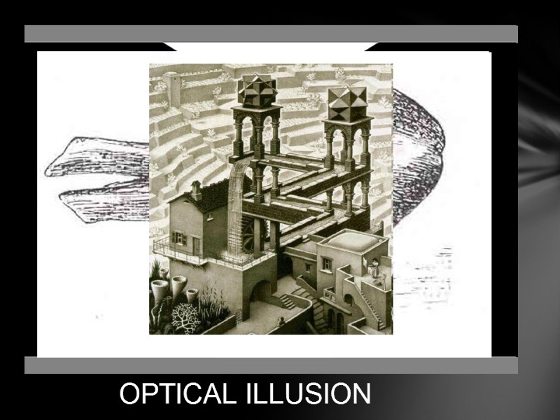 SIGHT OPTICAL ILLUSION